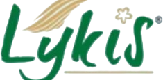 Lykis logo